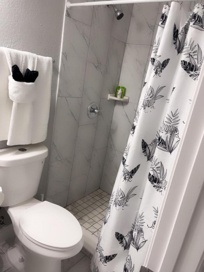 Dan G Apartment Tampa Luaran gambar